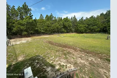 21960 Katawba Drive, Laurel Hill, NC 28351 - Photo 11