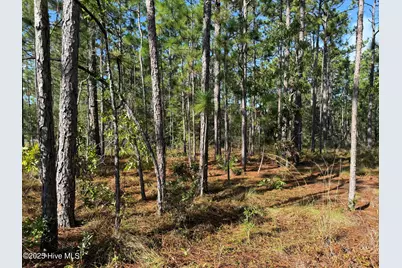 585 Westwood Road, Southport, NC 28461 - Photo 3