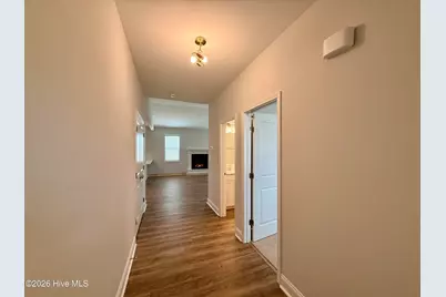 163 Laborde Lane, Raeford, NC 28376 - Photo 3