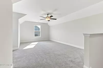 3669 N Old Wire (Lot 4) Road, Shannon, NC 28386 - Photo 35