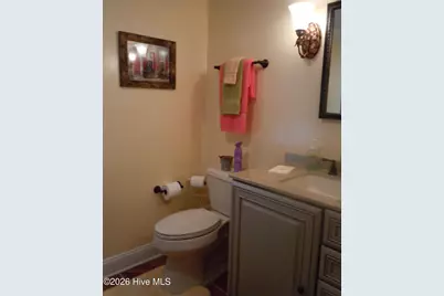 436 Herbert Norris Road, Tabor City, NC 28463 - Photo 37