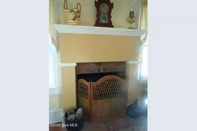 436 Herbert Norris Road, Tabor City, NC 28463 - Photo 17