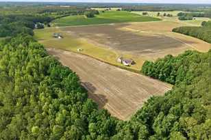 405 Pittman Town Rd, Scotland Neck, NC 27874 - Photo 15