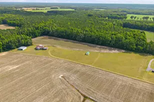 405 Pittman Town Rd, Scotland Neck, NC 27874 - Photo 13