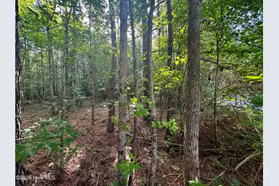 285 Dodge Point Drive, Pinetops, NC 27864 - Photo 3