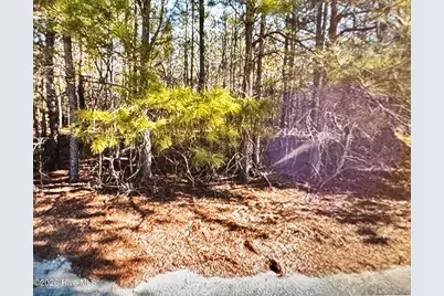 285 Dodge Point Drive, Pinetops, NC 27864 - Photo 1