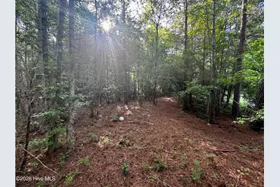 285 Dodge Point Drive, Pinetops, NC 27864 - Photo 5