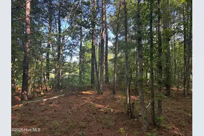 285 Dodge Point Drive, Pinetops, NC 27864 - Photo 9