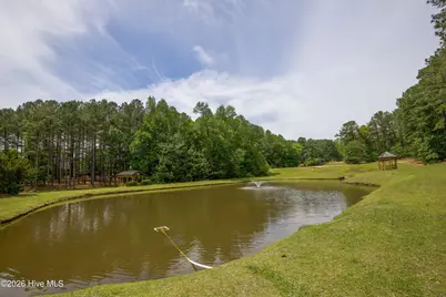 305 Skipping Water Drive, Spring Lake, NC 28390 - Photo 57