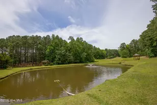 305 Skipping Water Dr, Spring Lake, NC 28390 - Photo 57