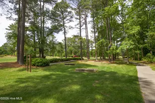 305 Skipping Water Dr, Spring Lake, NC 28390 - Photo 63