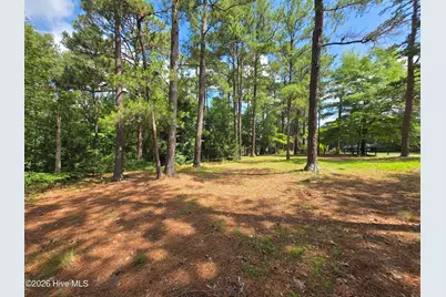103 Edinburgh Drive, Carthage, NC 28327 - Photo 9