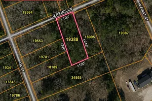 0 31 Ac Jenkins Ln, Kinston, NC 28504 - Photo 1