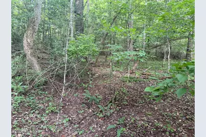 Tbd Rough Gravel Road, Murphy, NC 28906 - Photo 5