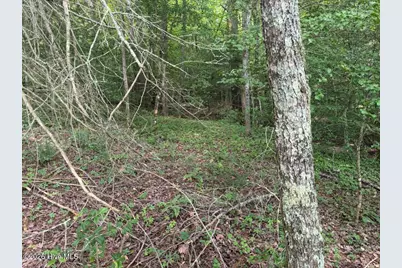Tbd Rough Gravel Road, Murphy, NC 28906 - Photo 3