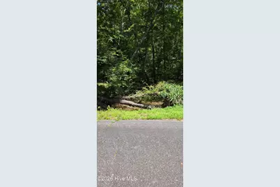 0 Chestnut Ridge Road, McCormick, SC 29835 - Photo 9