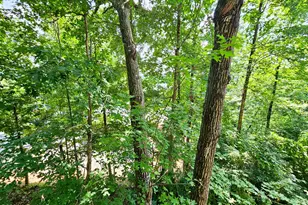 128 Manor Dr, Hayesville, NC 28904 - Photo 39