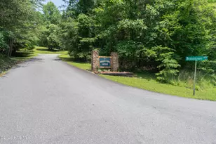 167 Brasstown View, Brasstown, NC 28902 - Photo 53