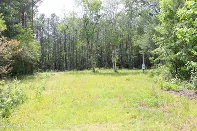 528 Chair Factory Road, Nakina, NC 28455 - Photo 1