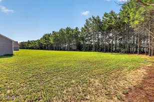 287 Windswept Way, Roper, NC 27970 - Photo 7