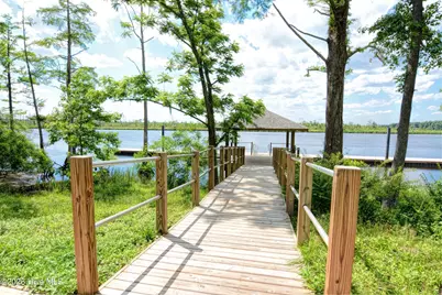 237 Sabal Pond Way, Castle Hayne, NC 28429 - Photo 77