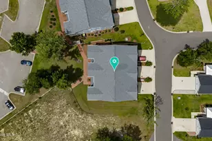 237 Sabal Pond Wy, Castle Hayne, NC 28429 - Photo 75