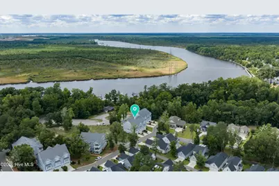237 Sabal Pond Way, Castle Hayne, NC 28429 - Photo 69