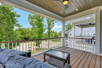 237 Sabal Pond Way, Castle Hayne, NC 28429 - Photo 49