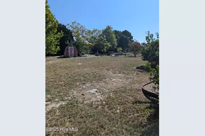 250 Quarter Horse Lane, Hampstead, NC 28443 - Photo 23