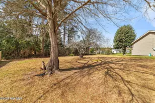 1019 Blue Leaf Pl, Jacksonville, NC 28546 - Photo 43