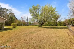 1019 Blue Leaf Pl, Jacksonville, NC 28546 - Photo 39