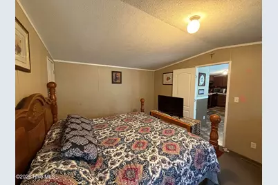 165 Ike Frederick Lane, Kenansville, NC 28349 - Photo 11