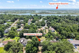 113 Bellowing Doe Rd, Hampstead, NC 28443 - Photo 61