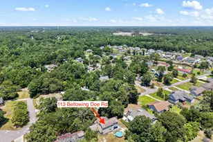 113 Bellowing Doe Rd, Hampstead, NC 28443 - Photo 51