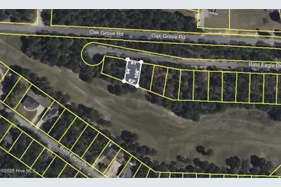 506 Bald Eagle Drive, Vass, NC 28394 - Photo 23