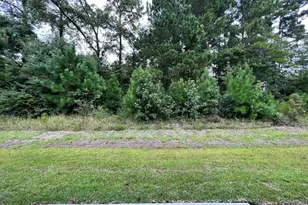 3618 Roseblossom Dr, Leland, NC 28451 - Photo 19