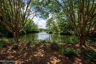 809 Thyme Ct, New Bern, NC 28562 - Photo 75
