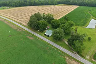 216 Karo White Rd, Windsor, NC 27983 - Photo 47