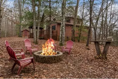 162 Little Falls Drive, Mineral Bluff, GA 30559 - Photo 37