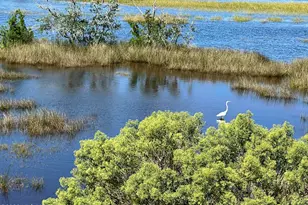 524 Shipmast Ct, Beaufort, NC 28516 - Photo 77