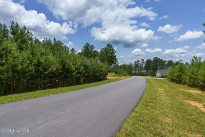 Lot 343 Loop Lane, Blairsville, GA 30512 - Photo 13