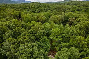 398 Mountain Tops Cir, Blue Ridge, GA 30513 - Photo 47