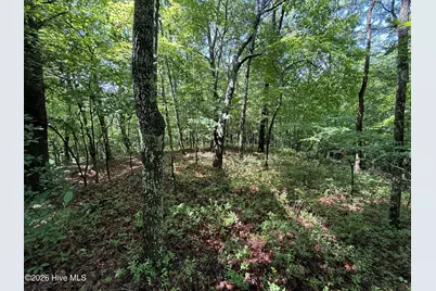 81 Roberts Road, Murphy, NC 28906 - Photo 7