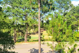 84 Knoll Rd, Southern Pines, NC 28387 - Photo 23