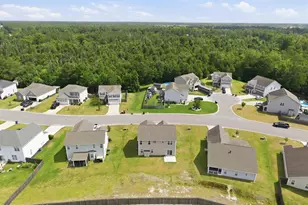 447 Avendale Dr, Rocky Point, NC 28457 - Photo 65