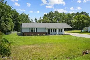 961 Pikeville-Princeton Rd, Pikeville, NC 27863 - Photo 3
