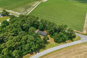 841 Hwy 123 S, Hookerton, NC 28538 - Photo 41