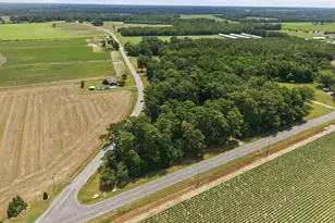841 Hwy 123 S, Hookerton, NC 28538 - Photo 39