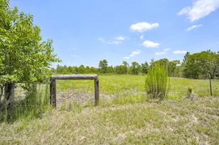 798 Big Branch Rd, Wagener, SC 29164 - Photo 49