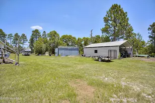 798 Big Branch Rd, Wagener, SC 29164 - Photo 47